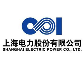 深圳大(dà)通(tōng)建材合作夥伴-上海電(diàn)力股份有限公司